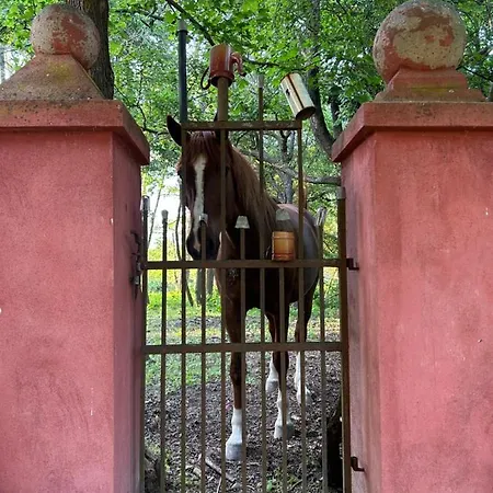 Popice Hideaway Znojmo
