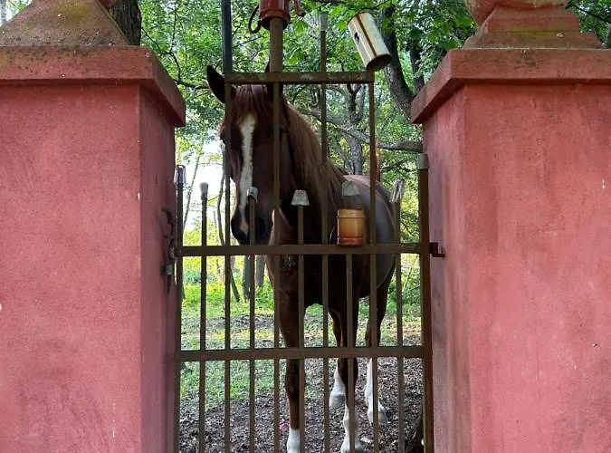Popice Hideaway Znojmo